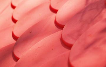 Byford Common plastic roof costs